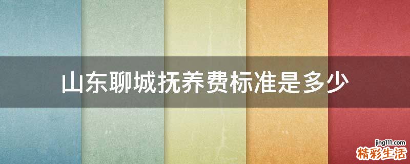 山东聊城抚养费标准是多少
