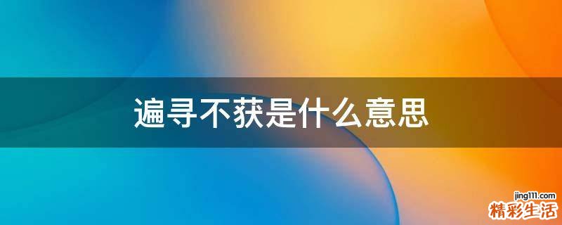 遍寻不获是什么意思