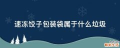 速冻饺子包装袋属于什么垃圾