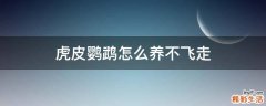 虎皮鹦鹉怎么养不飞走
