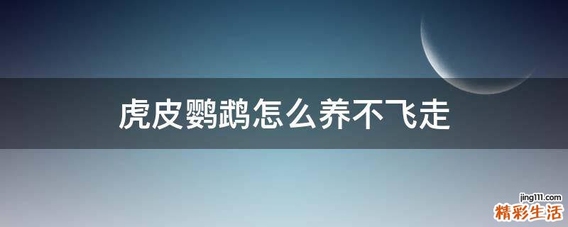 虎皮鹦鹉怎么养不飞走