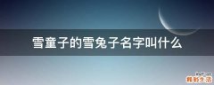 雪童子的雪兔子名字叫什么