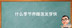 什么季节养睡莲发芽快