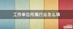 工作单位所属行业怎么填