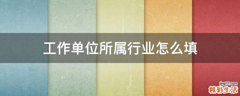 工作单位所属行业怎么填