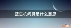 蓝忘机问灵是什么意思
