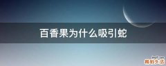 百香果为什么吸引蛇