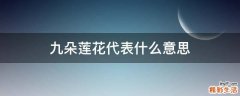 九朵莲花代表什么意思