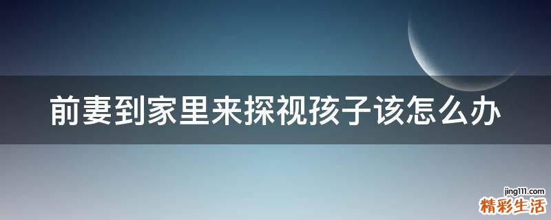 前妻到家里来探视孩子该怎么办