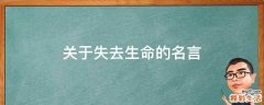 关于失去生命的名言
