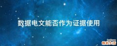 数据电文能否作为证据使用
