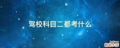 驾校科目二都考什么