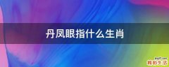 丹凤眼指什么生肖