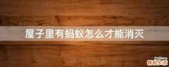 屋子里有蚂蚁怎么才能消灭