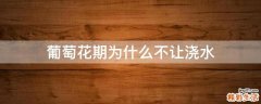 葡萄花期为什么不让浇水