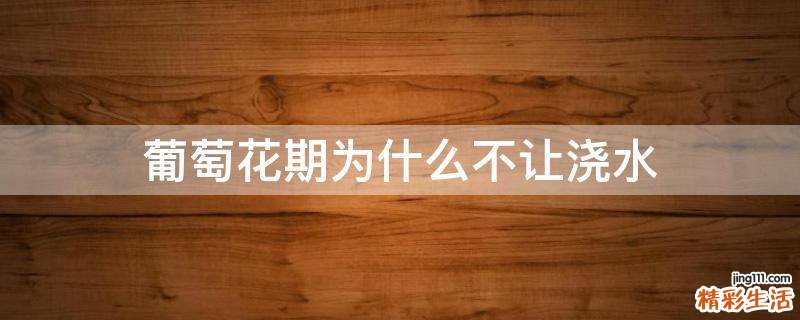 葡萄花期为什么不让浇水