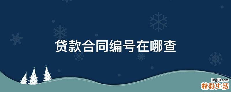 贷款合同编号在哪查
