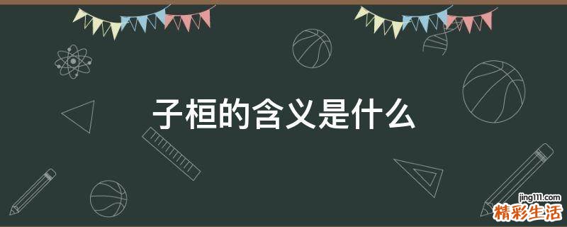 子桓的含义是什么