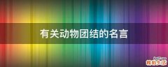 有关动物团结的名言