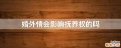 婚外情会影响抚养权的吗