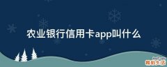 农业银行信用卡app叫什么
