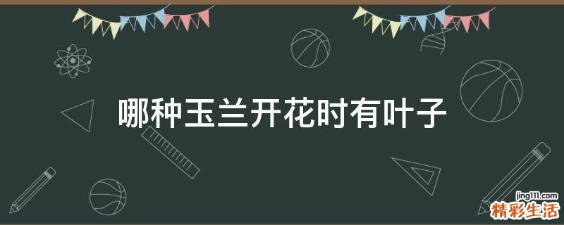 哪种玉兰开花时有叶子