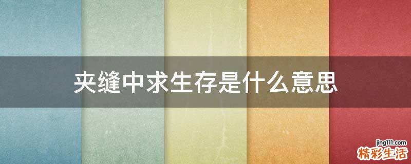 夹缝中求生存是什么意思