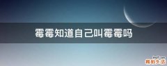 霉霉知道自己叫霉霉吗