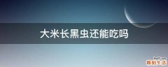 大米长黑虫还能吃吗