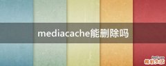 mediacache能删除吗
