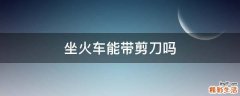坐火车能带剪刀吗