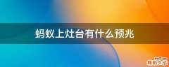 蚂蚁上灶台有什么预兆