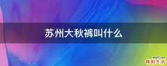 苏州大秋裤叫什么