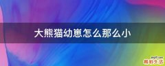 大熊猫幼崽怎么那么小