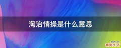 淘治情操是什么意思