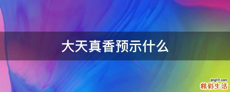 大天真香预示什么