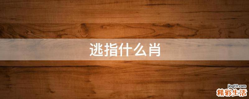 逃指什么肖