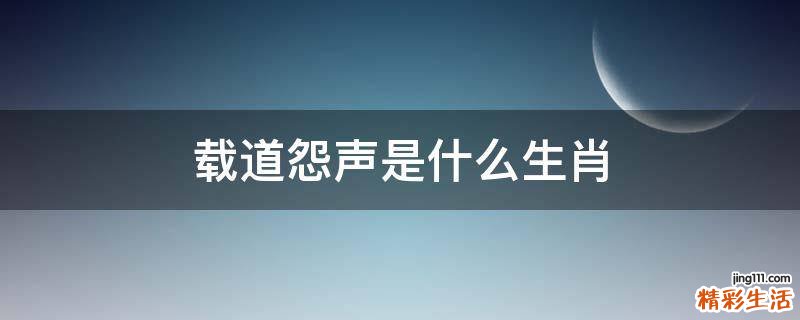 载道怨声是什么生肖