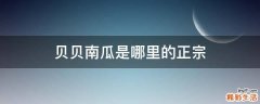 贝贝南瓜是哪里的正宗