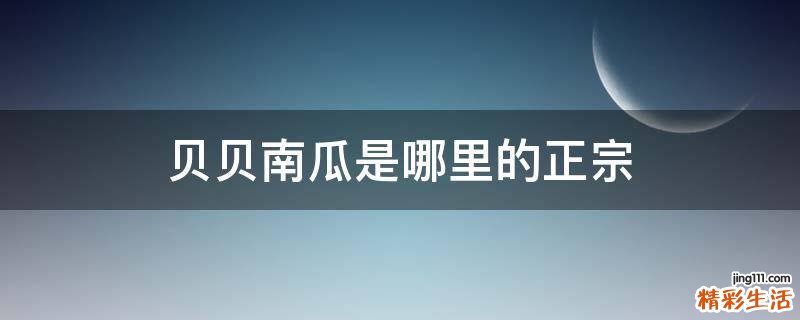 贝贝南瓜是哪里的正宗