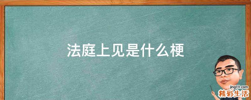 法庭上见是什么梗