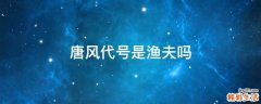 唐风代号是渔夫吗