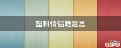 塑料情侣啥意思