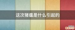 这次猪瘟是什么引起的