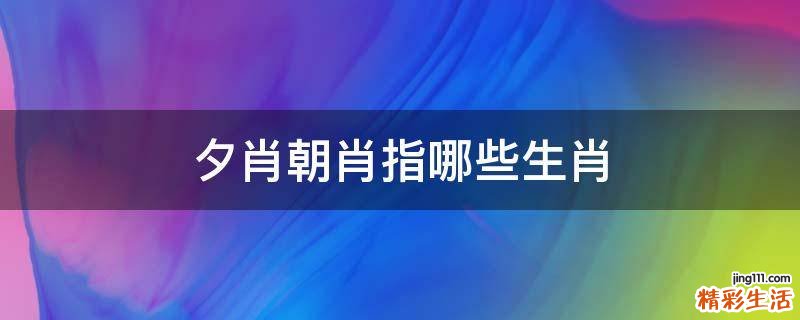 夕肖朝肖指哪些生肖