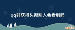 qq群获得头衔别人会看到吗