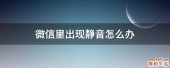 微信里出现静音怎么办
