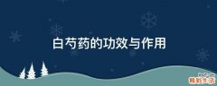 白芍药的功效与作用