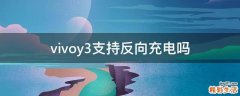 vivoy3支持反向充电吗
