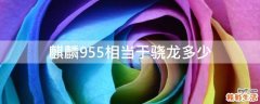 麒麟955相当于骁龙多少